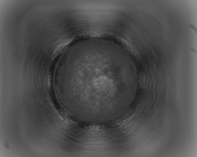 X0000091890740200709191217