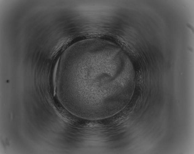 X0000091890742200709191217