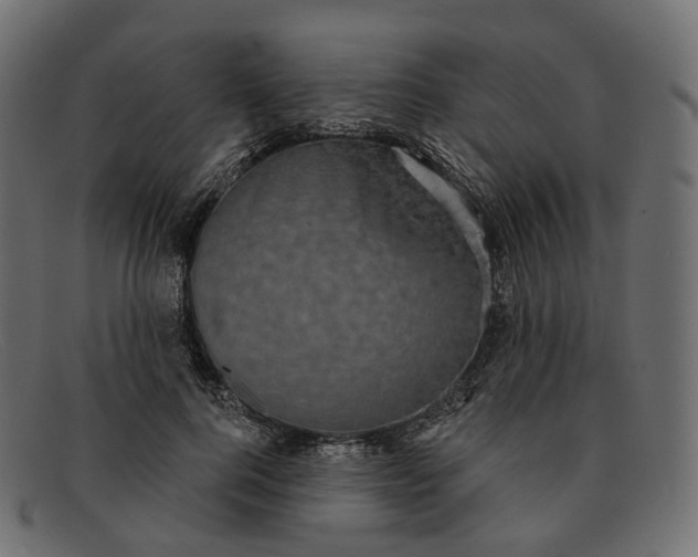 X0000091890744200709191217