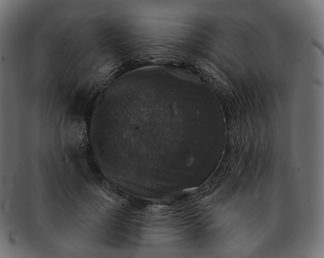 X0000091890748200709191217