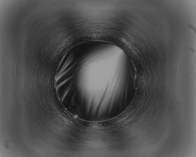 X0000091890750200709191217