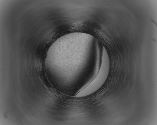 X0000091890751200709191217