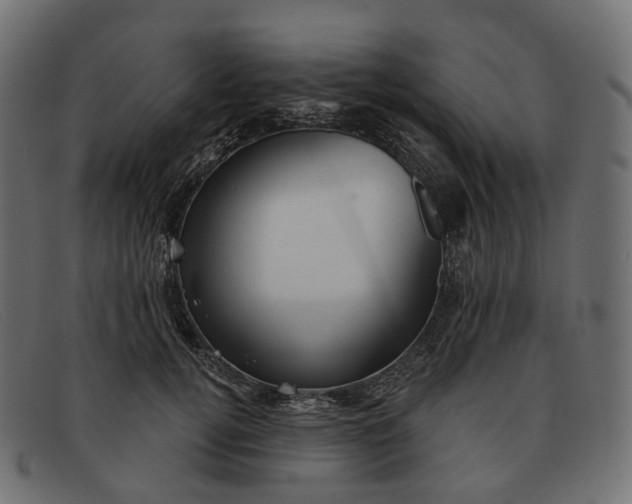 X0000091890752200709191217