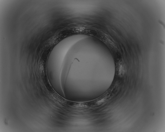 X0000091890754200709191217