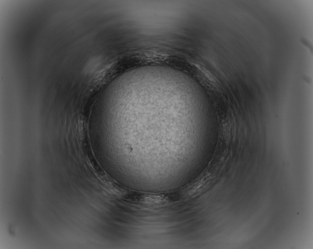 X0000091890757200709191217