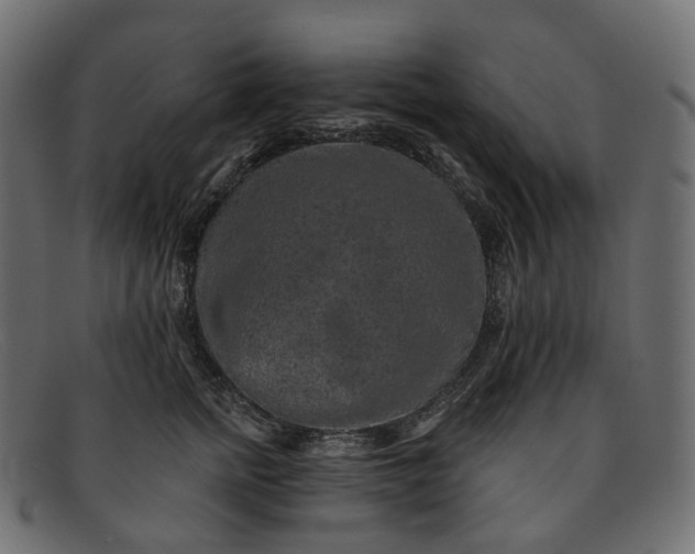 X0000091890758200709191217