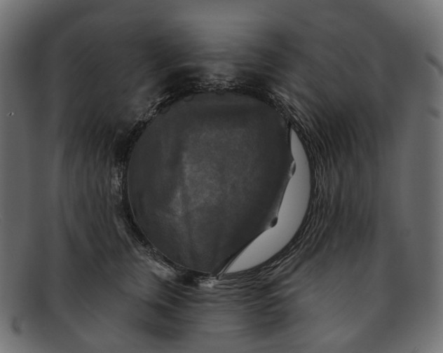 X0000091890759200709191217