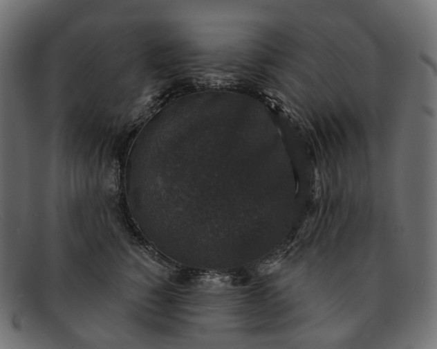 X0000091890760200709191217