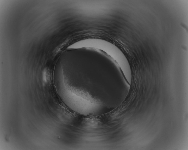 X0000091890763200709191217