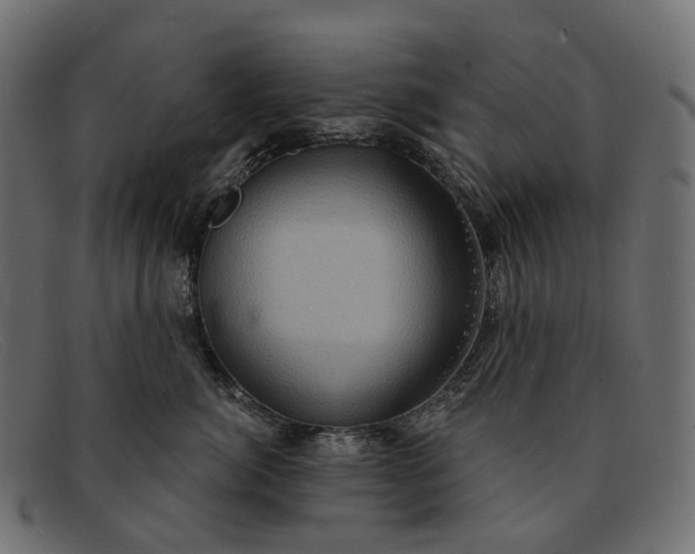 X0000091890764200709191217