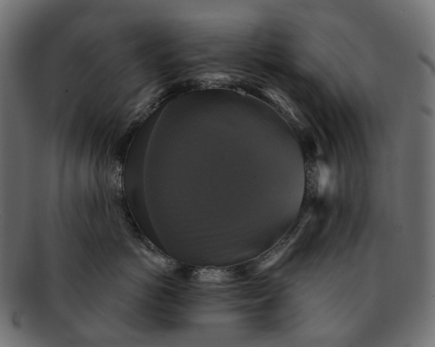 X0000091890766200709191217