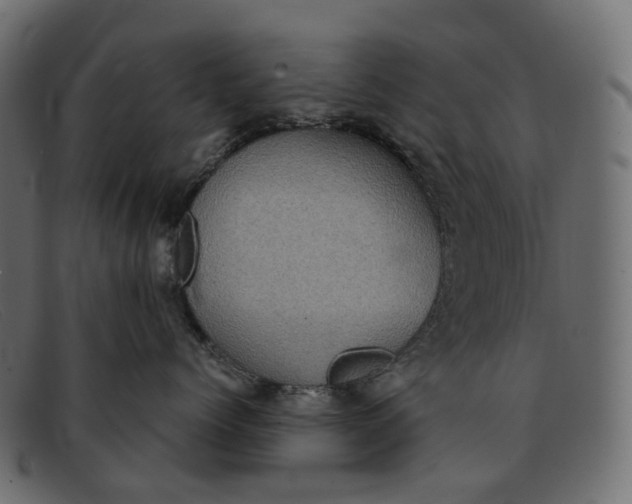 X0000091890768200709191217