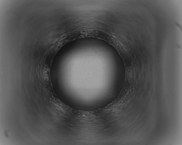 X0000091890770200709191217