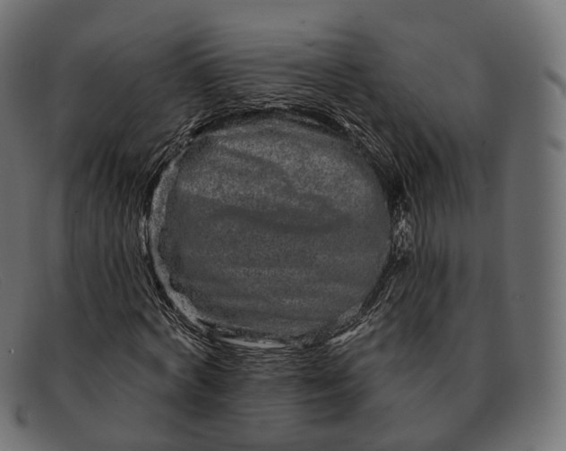 X0000091890772200709191217