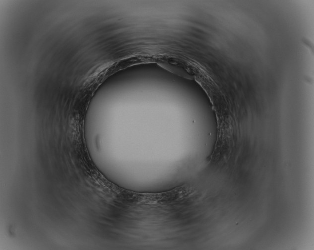 X0000091890773200709191217