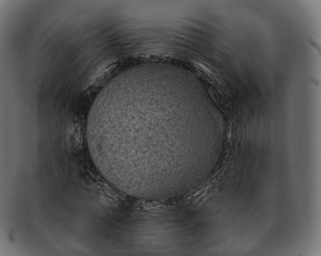X0000091890774200709191217