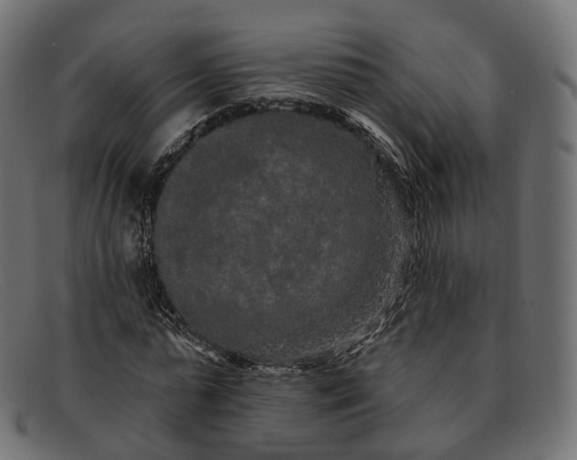 X0000091890775200709191217