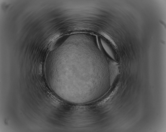 X0000091890777200709191217