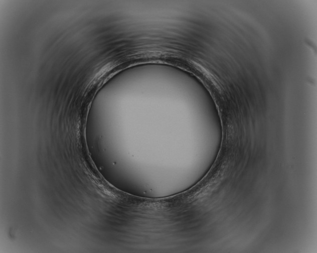 X0000091890778200709191217