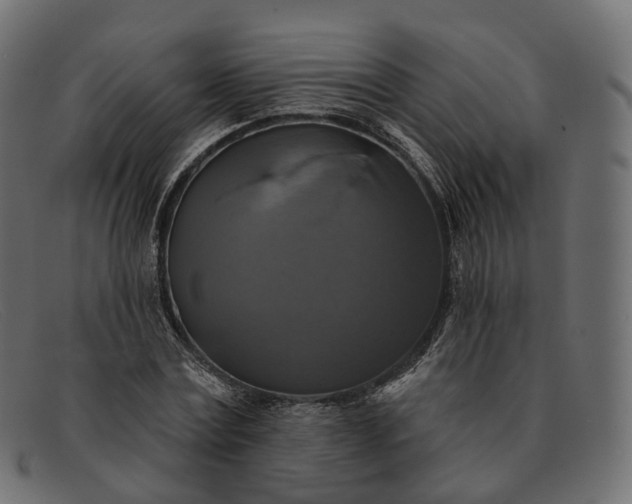 X0000091890779200709191217