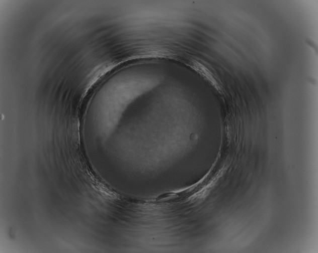 X0000091890781200709191217