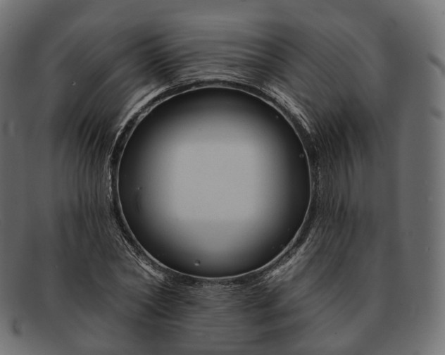 X0000091890782200709191217