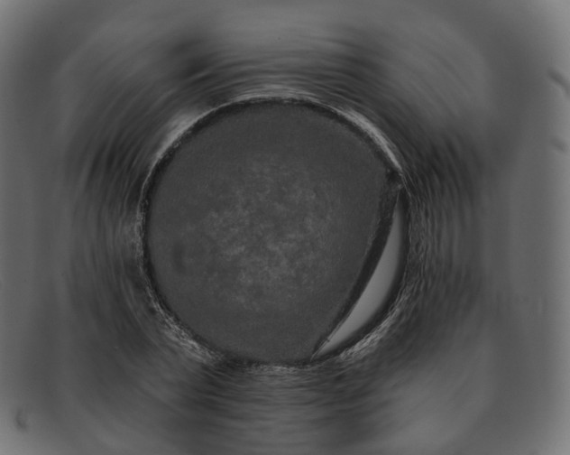 X0000091890783200709191217