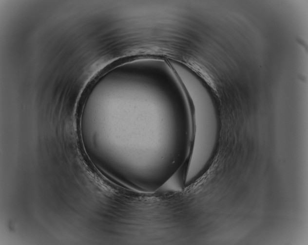 X0000091890784200709191216