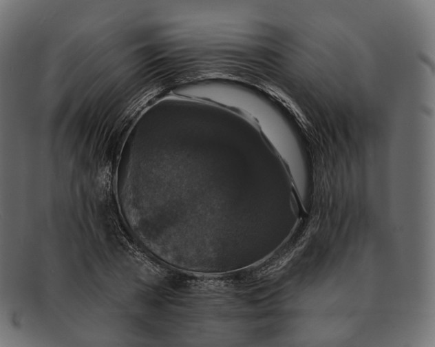X0000091890785200709191216