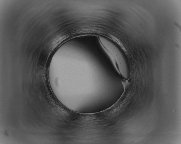 X0000091890786200709191216