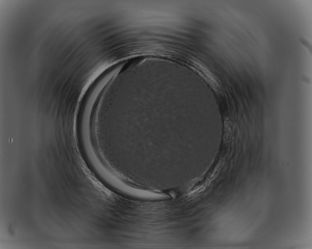 X0000091890788200709191216