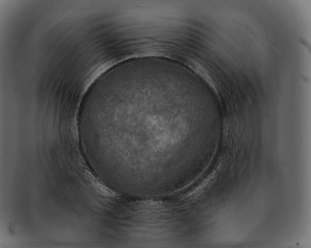 X0000091890789200709191216