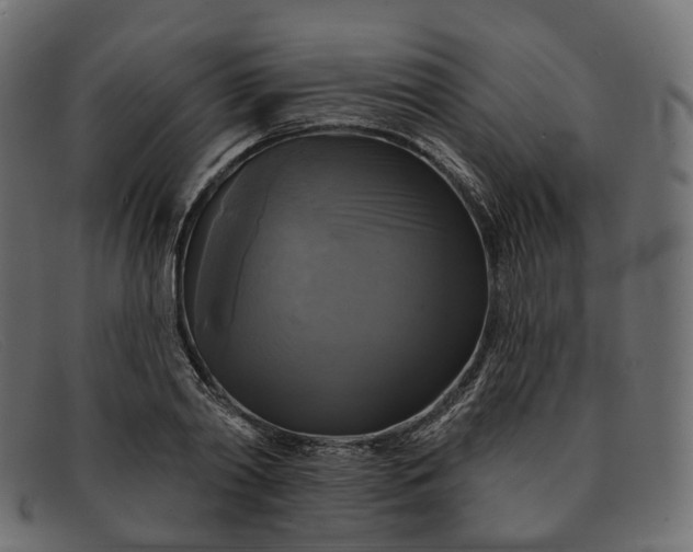 X0000091890790200709191216