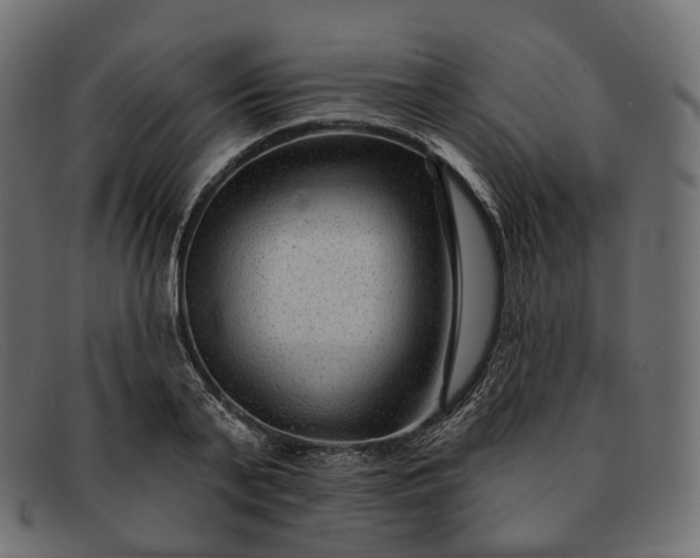 X0000091890791200709191216