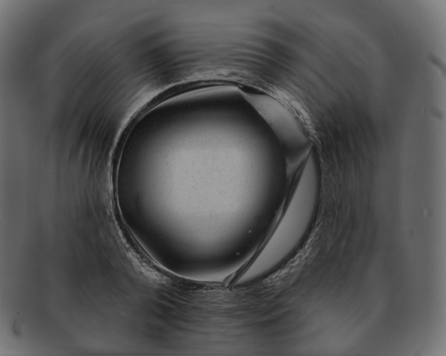X0000091890792200709191216