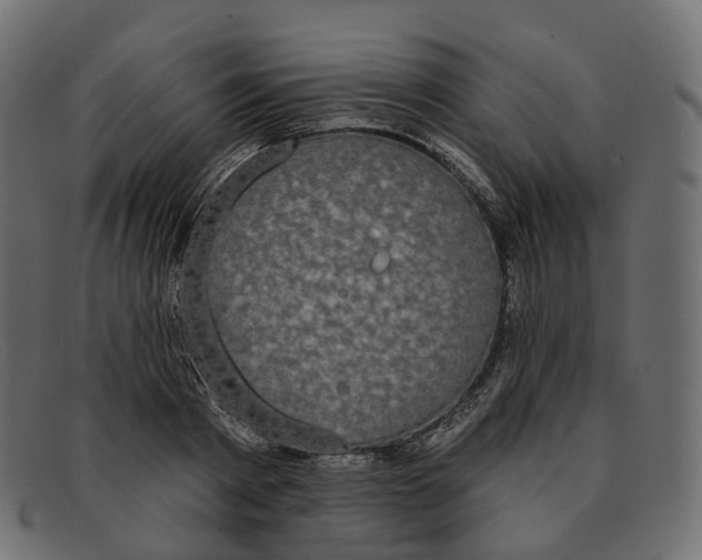 X0000091890793200709191216