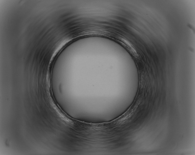 X0000091890796200709191216