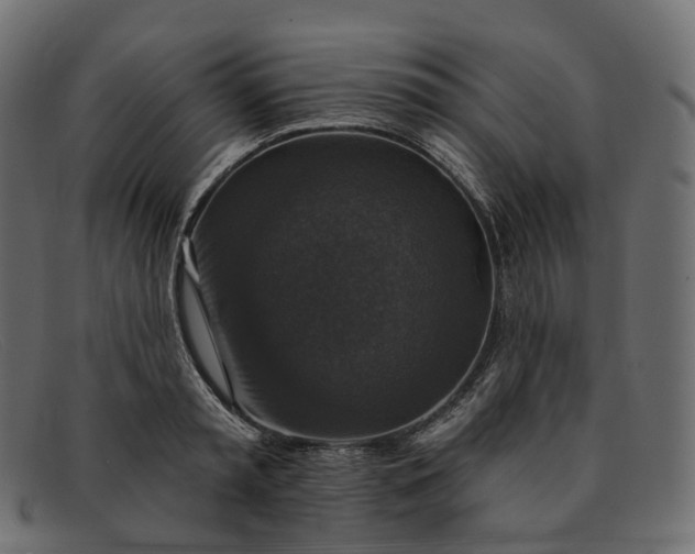 X0000091890797200709191216