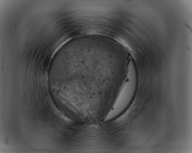 X0000091890798200709191216