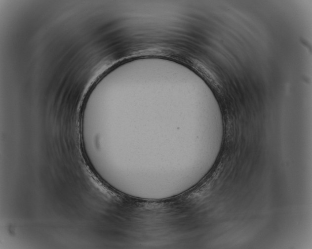 X0000091890800200709191216