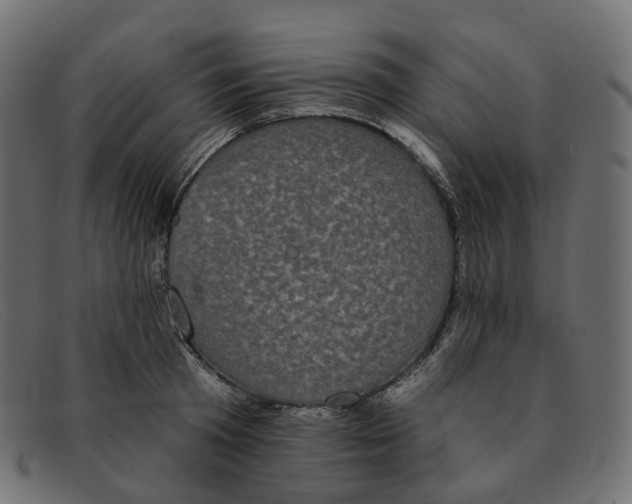 X0000091890801200709191216