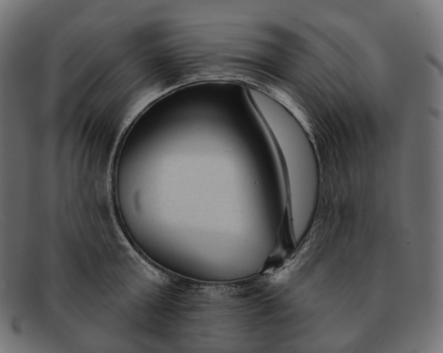 X0000091890803200709191216