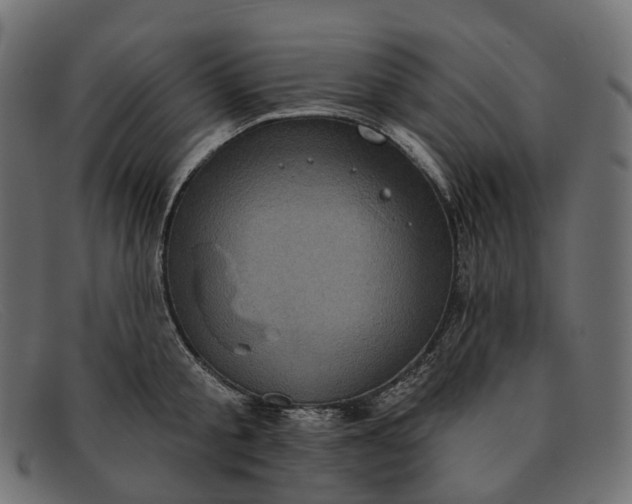 X0000091890805200709191216