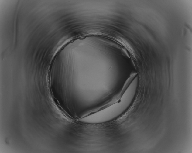 X0000091890806200709191216