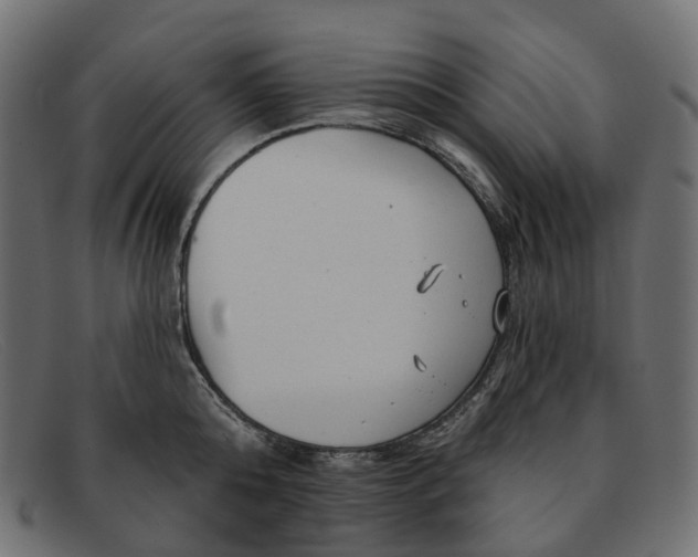 X0000091890808200709191216