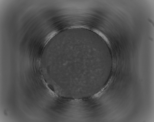 X0000091890809200709191216
