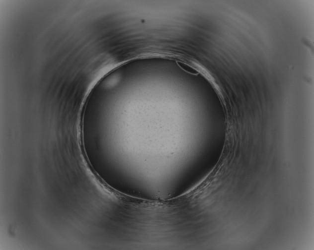 X0000091890811200709191216