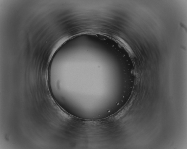 X0000091890812200709191216