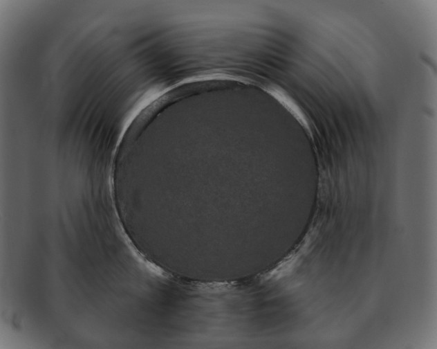 X0000091890813200709191216
