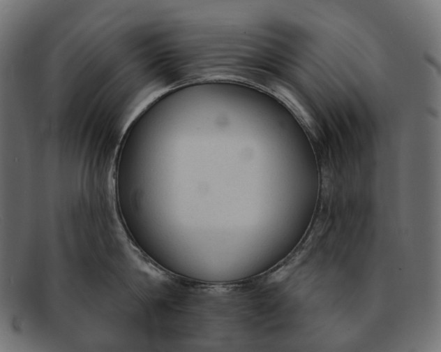 X0000091890814200709191216